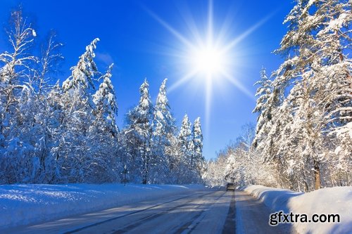 Collection of images of the winter forest 25 UHQ Jpeg