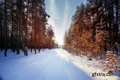 Collection of images of the winter forest 25 UHQ Jpeg