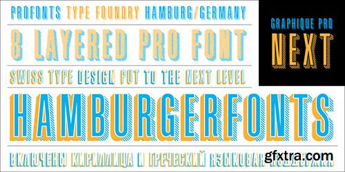 Graphique Pro Next Font Family 8 Fonts $160