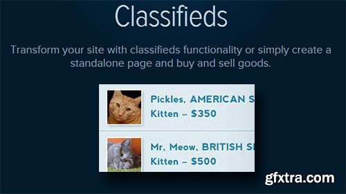 WPMU DEV - Classifieds v2.3.6.5 - WordPress Plugin