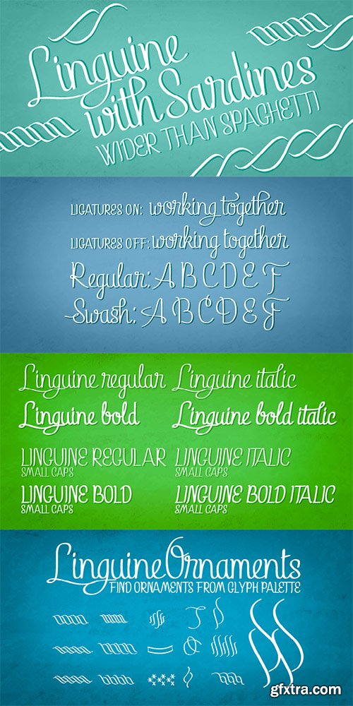 Graphique Pro Next Font Family 4 Fonts $80