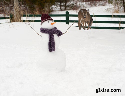 Stock Photos - Snowman, Winter, 25xJPG