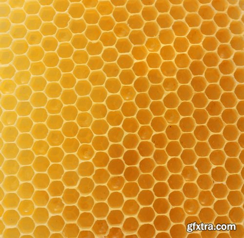 Honeycomb and Bees Backgrounds 28xJPG