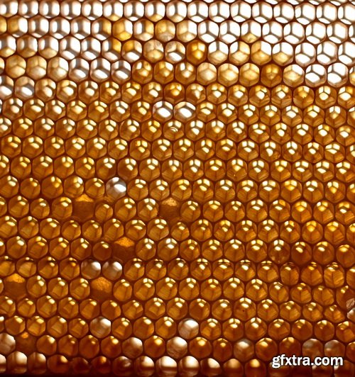 Honeycomb and Bees Backgrounds 28xJPG