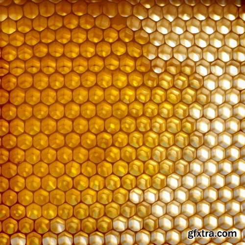 Honeycomb and Bees Backgrounds 28xJPG