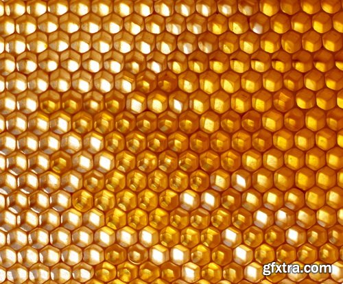 Honeycomb and Bees Backgrounds 28xJPG