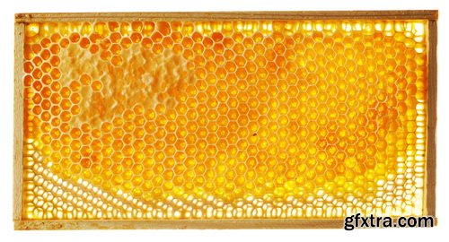 Honeycomb and Bees Backgrounds 28xJPG