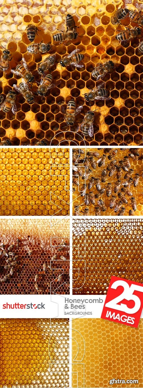 Honeycomb and Bees Backgrounds 28xJPG