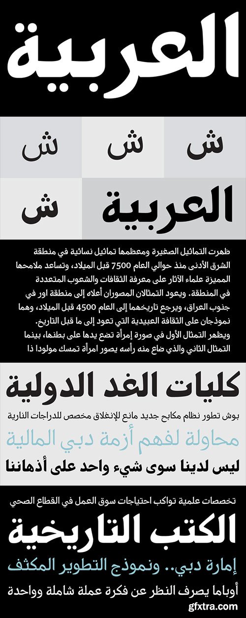 PF Nuyork Arabic Font Family $375