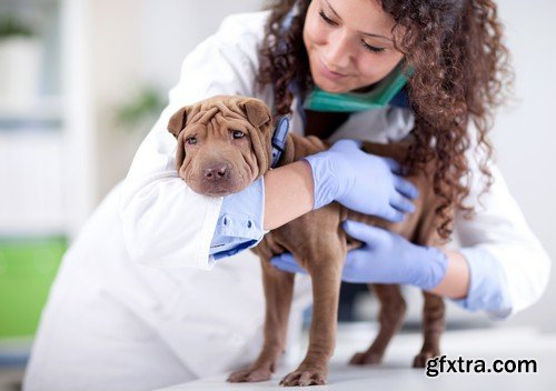 Stock Photos - Veterinarian 2, 25xJPG