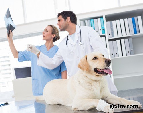 Stock Photos - Veterinarian 2, 25xJPG