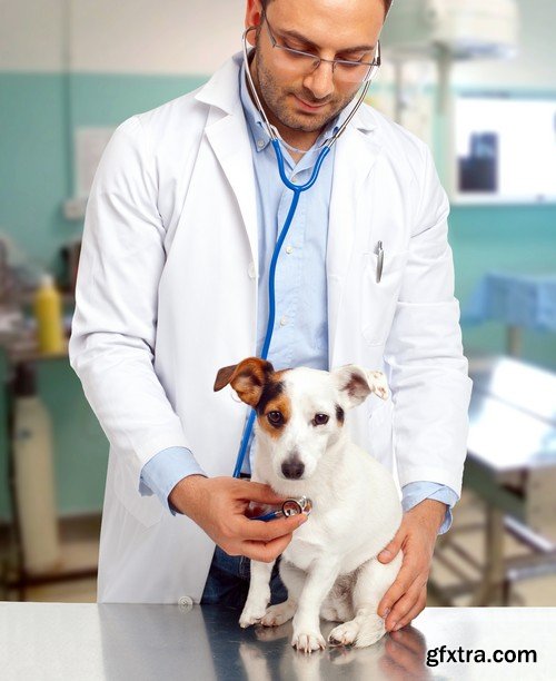 Stock Photos - Veterinarian 2, 25xJPG