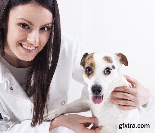 Stock Photos - Veterinarian 2, 25xJPG