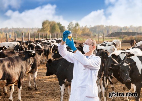 Stock Photos - Veterinarian 2, 25xJPG