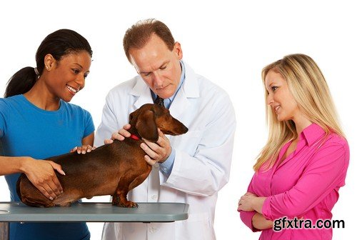 Stock Photos - Veterinarian 2, 25xJPG