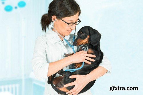 Stock Photos - Veterinarian 2, 25xJPG