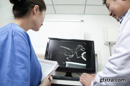 Stock Photos - Veterinarian 2, 25xJPG