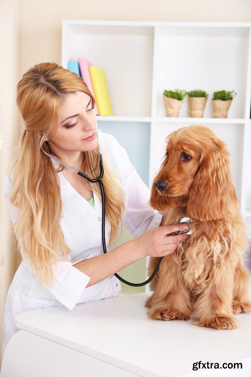 Stock Photos - Veterinarian 2, 25xJPG