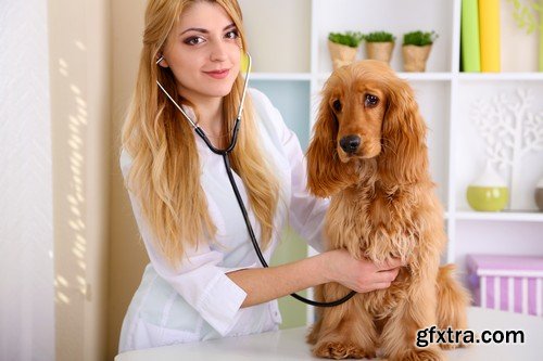 Stock Photos - Veterinarian 2, 25xJPG