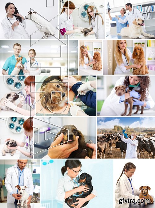 Stock Photos - Veterinarian 2, 25xJPG