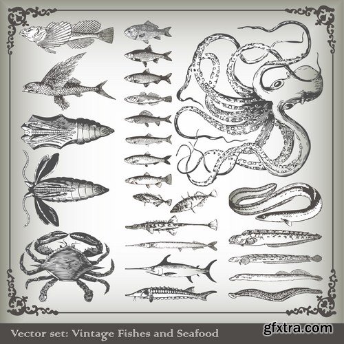 Antique Design Elements - 30 Vector