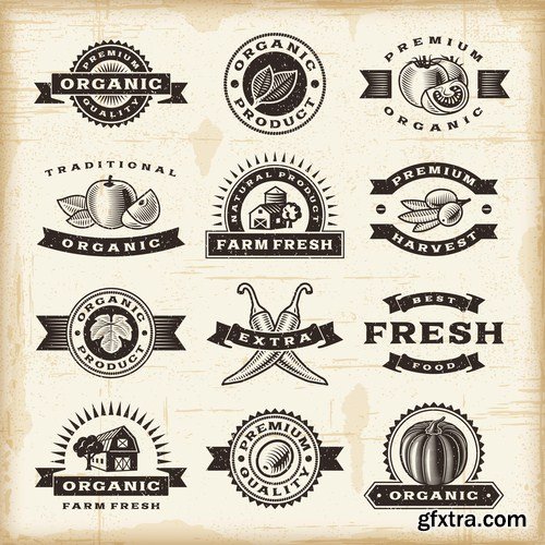 Antique Design Elements - 30 Vector