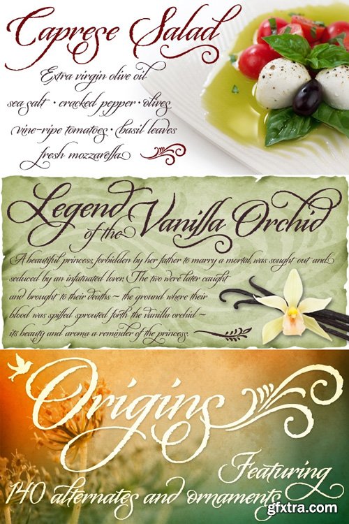 Origins Font Family $39