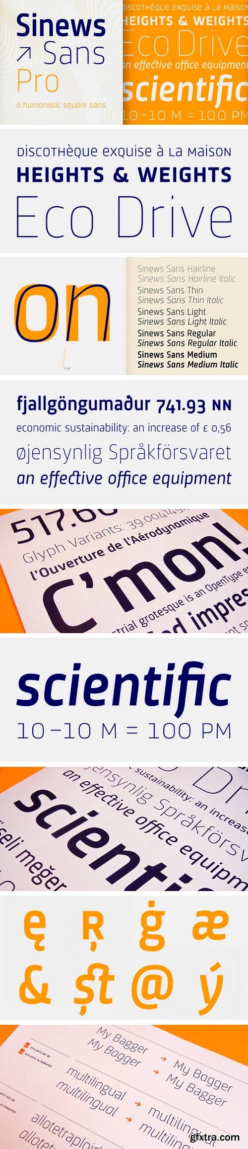 Sinews Sans Pro Font Family - 10 Fonts for €480