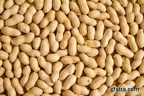 Stock Photos - Nuts 2, 25xJPG