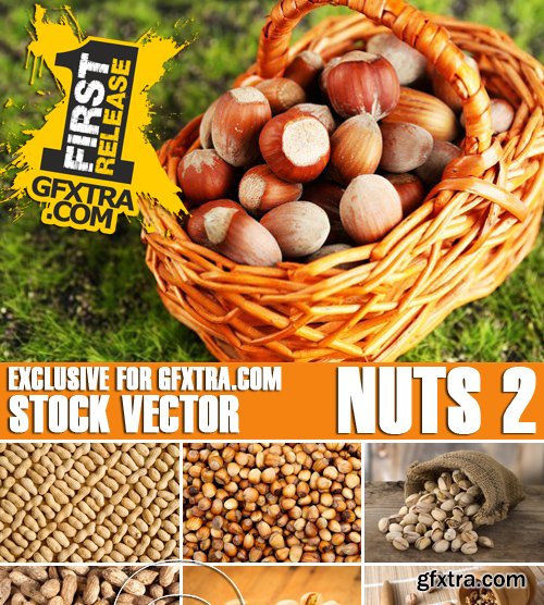 Stock Photos - Nuts 2, 25xJPG