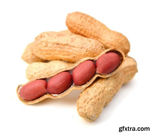 Stock Photos - Nuts 2, 25xJPG