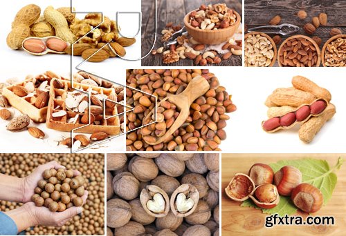 Stock Photos - Nuts 2, 25xJPG