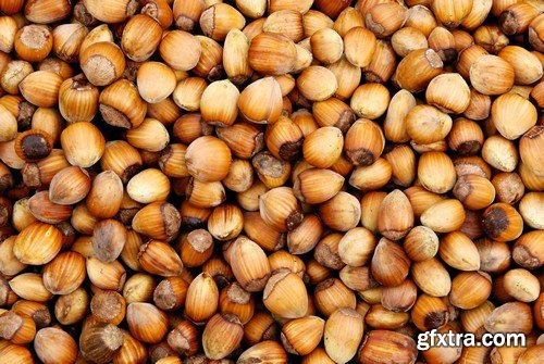 Stock Photos - Nuts 2, 25xJPG