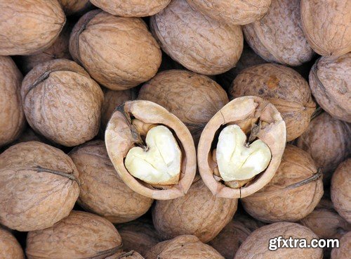 Stock Photos - Nuts 2, 25xJPG