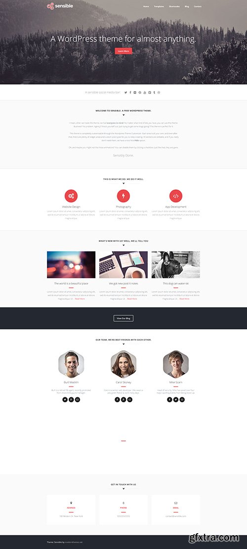 Sensible v1.0 - WordPress Theme