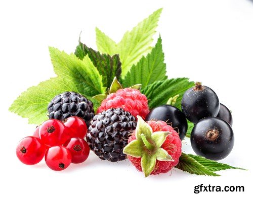 Stock Photos - Berries, 25xJPG