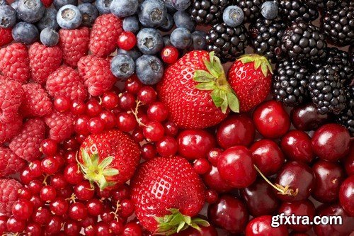 Stock Photos - Berries, 25xJPG