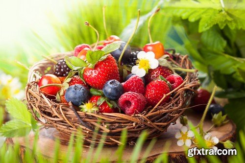 Stock Photos - Berries, 25xJPG