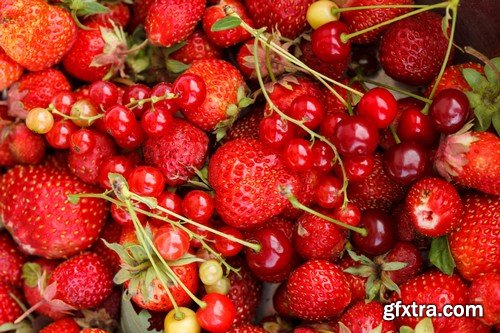 Stock Photos - Berries, 25xJPG