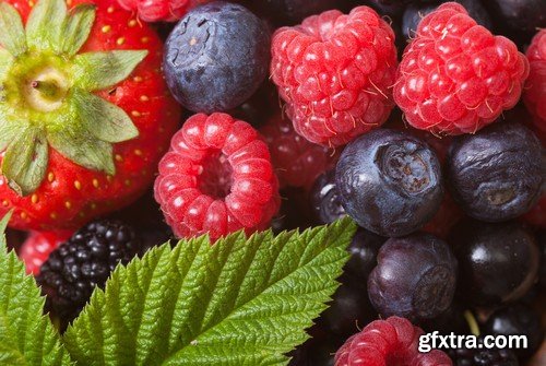 Stock Photos - Berries, 25xJPG