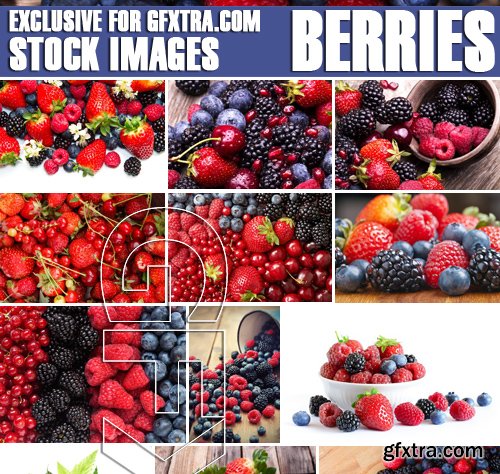 Stock Photos - Berries, 25xJPG