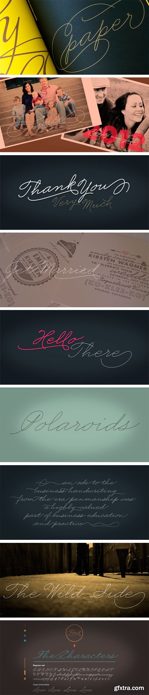 Business Penmanship Font Family - 2 Fonts for $99