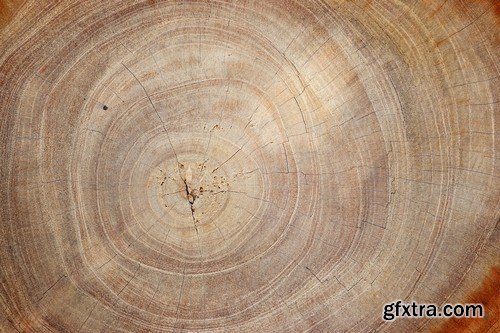 Stock Photos - Wood Textures 4, 25xJPG