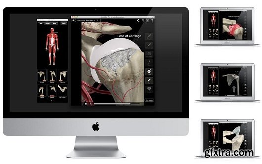 Shoulder Pro III with Animations v3.8 MacOSX