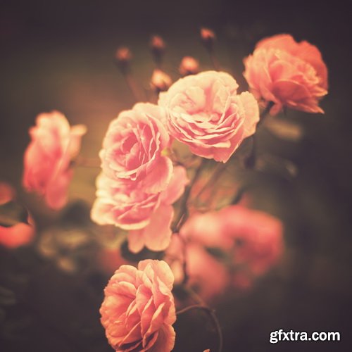 Retro Vintage Backgrounds 2 - Flowers 25xJPG