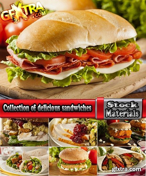 Collection of delicious sandwiches 25 UHQ Jpeg