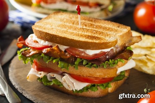 Collection of delicious sandwiches 25 UHQ Jpeg