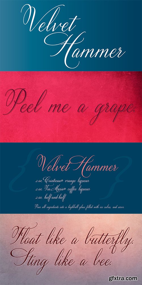 Velvet Hummer Font Family - 1 Font $40