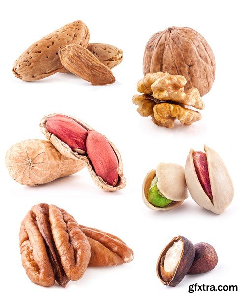 Stock Photos - Nuts 3, 25xJPG