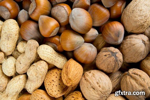 Stock Photos - Nuts 3, 25xJPG